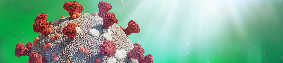 Coronavirus
